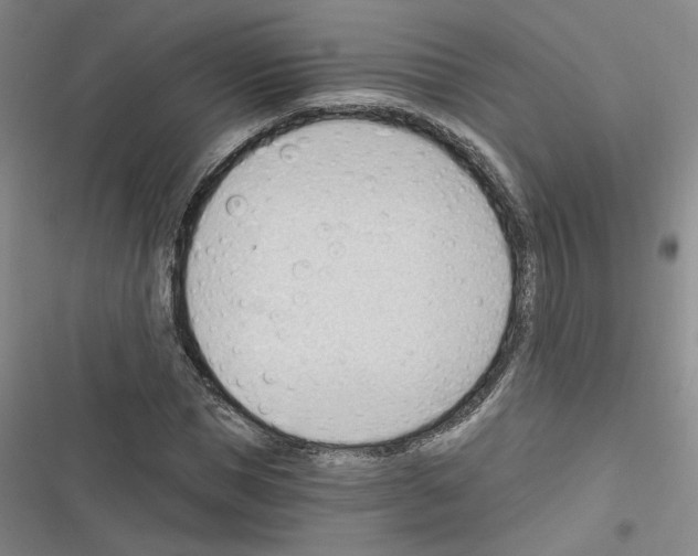 X0000116320921201001131000