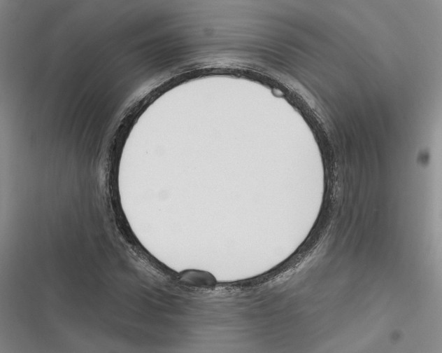 X0000116320922201001131000