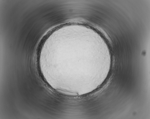 X0000116320923201001131000