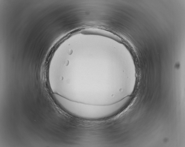 X0000116320925201001131000