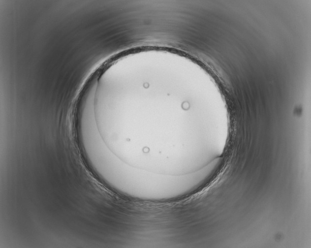 X0000116320926201001131000