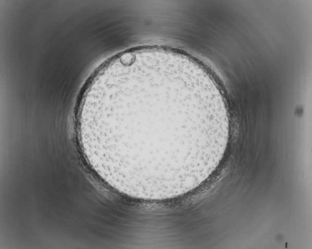 X0000116320927201001131000