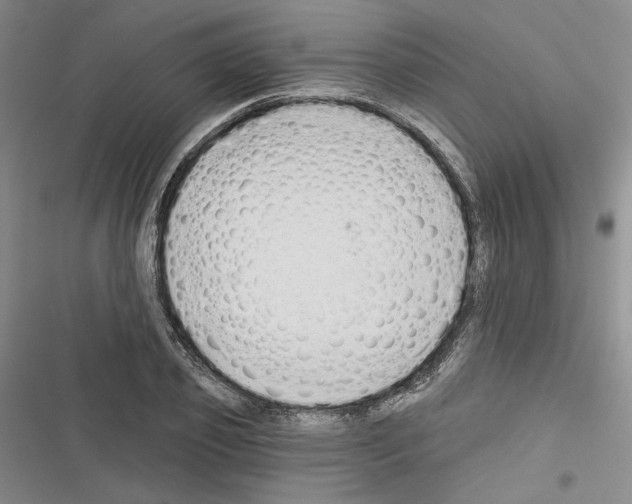 X0000116320933201001131000