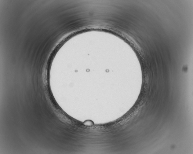 X0000116320934201001131000