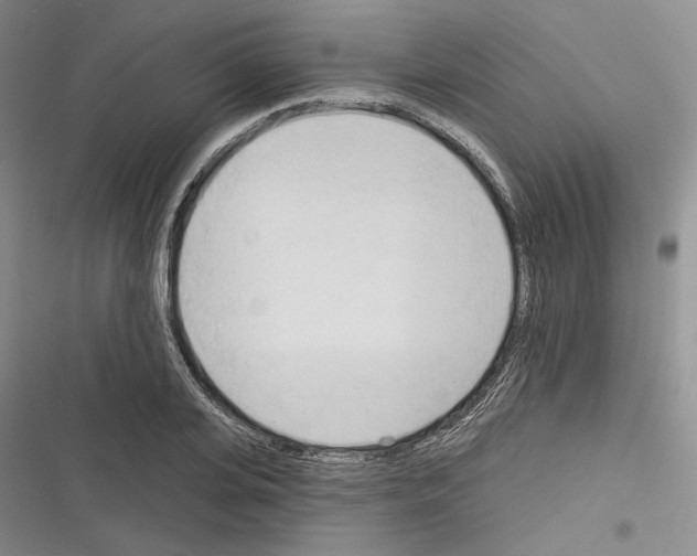 X0000116320935201001131000