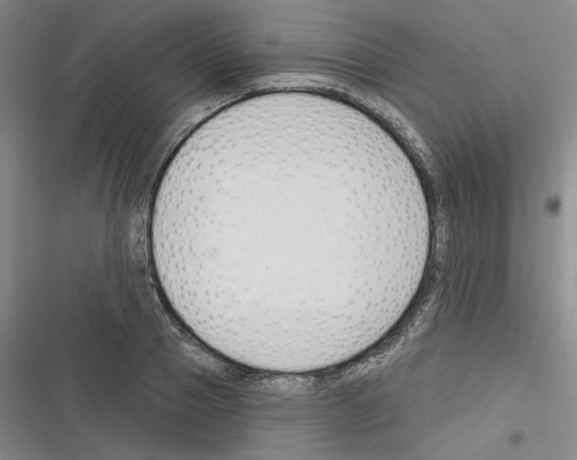 X0000116320937201001131000