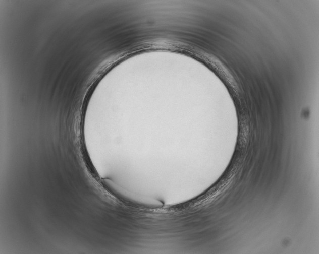 X0000116320938201001131000