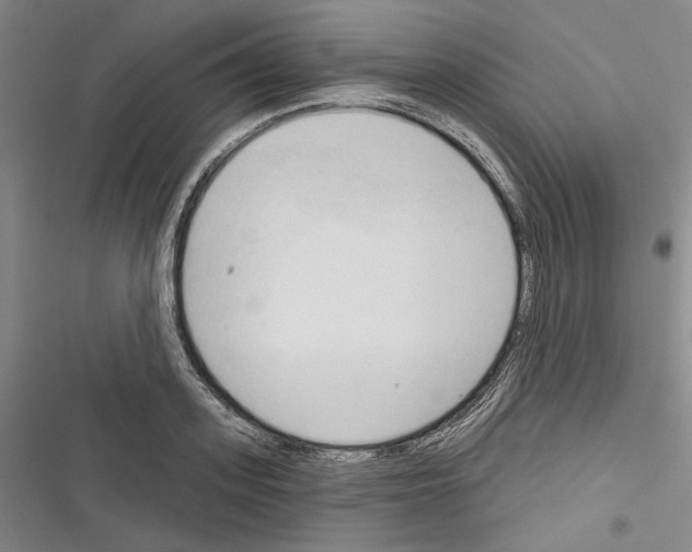 X0000116320939201001131000