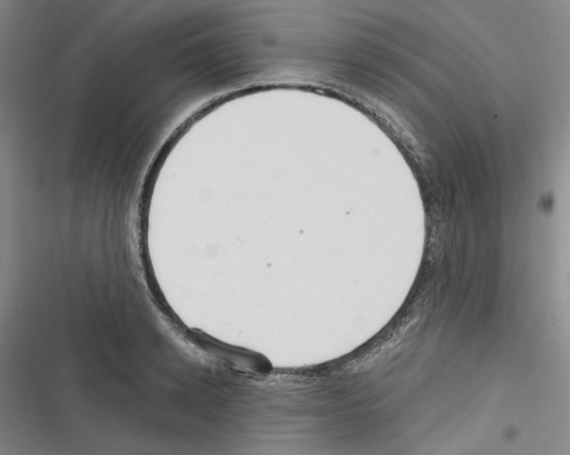 X0000116320942201001131000