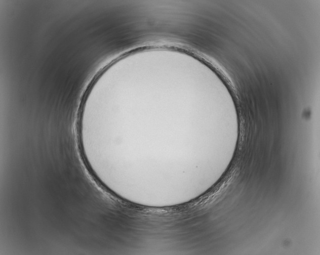 X0000116320943201001131000