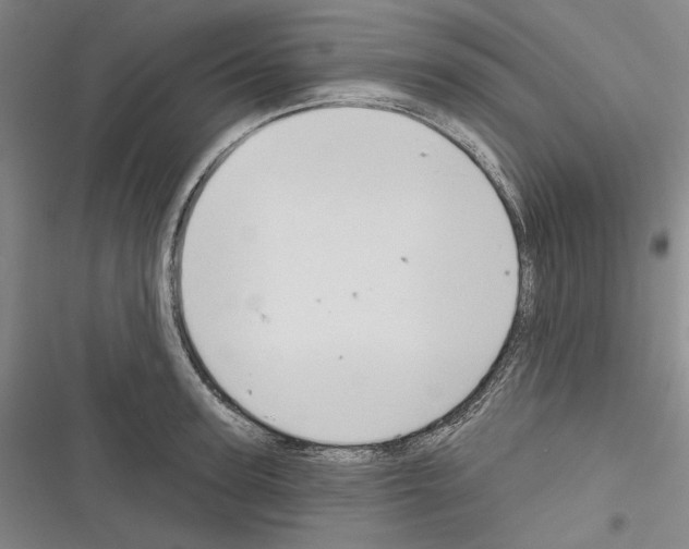 X0000116320947201001131000