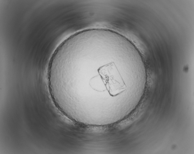 X0000116320950201001131000