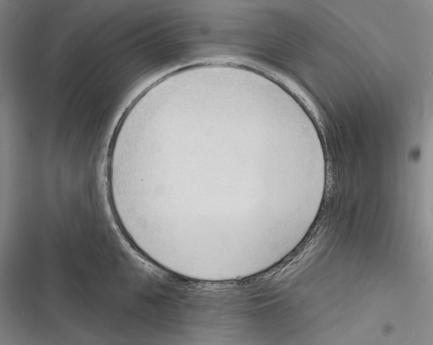 X0000116320951201001131000