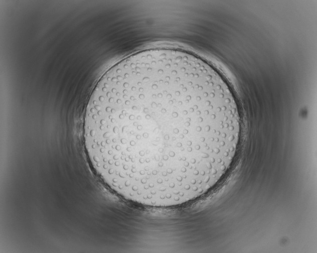 X0000116320953201001131001