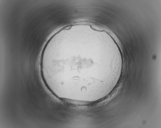 X0000116320957201001131001