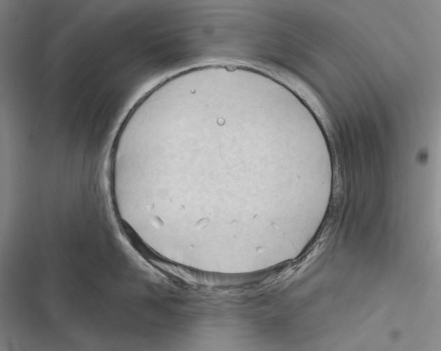 X0000116320958201001131001