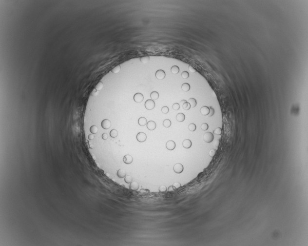 X0000116320962201001131000