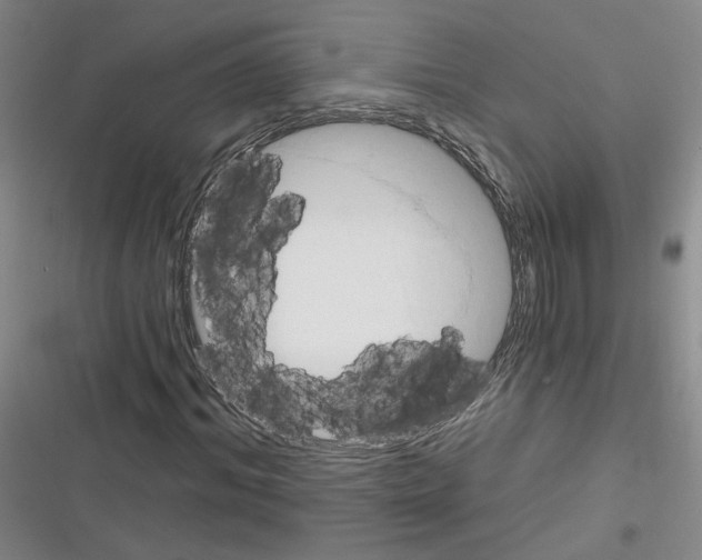 X0000116320964201001131000