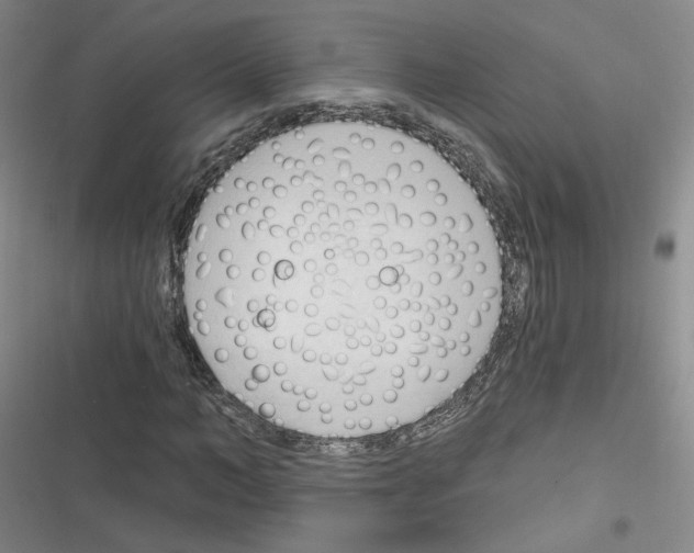 X0000116320966201001131000