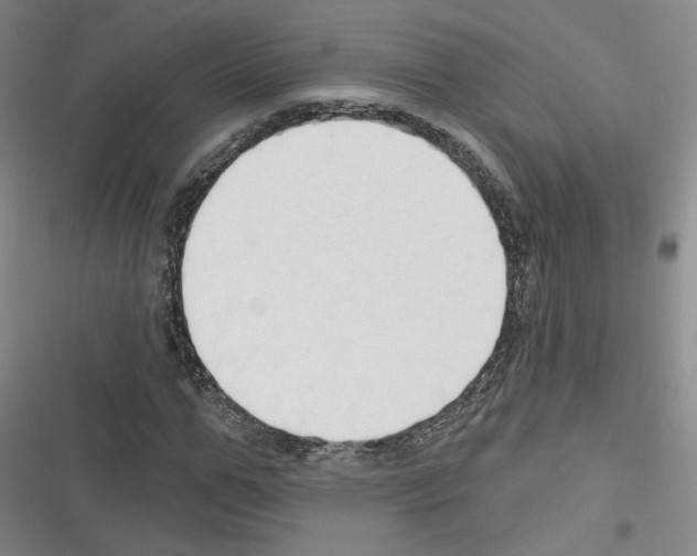 X0000116320967201001131000