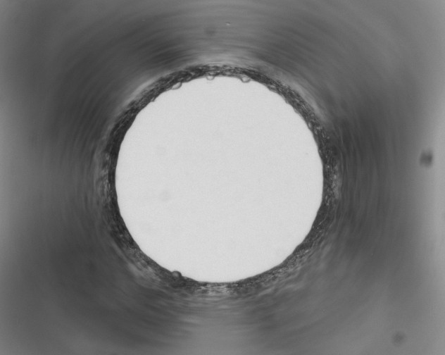 X0000116320968201001131000