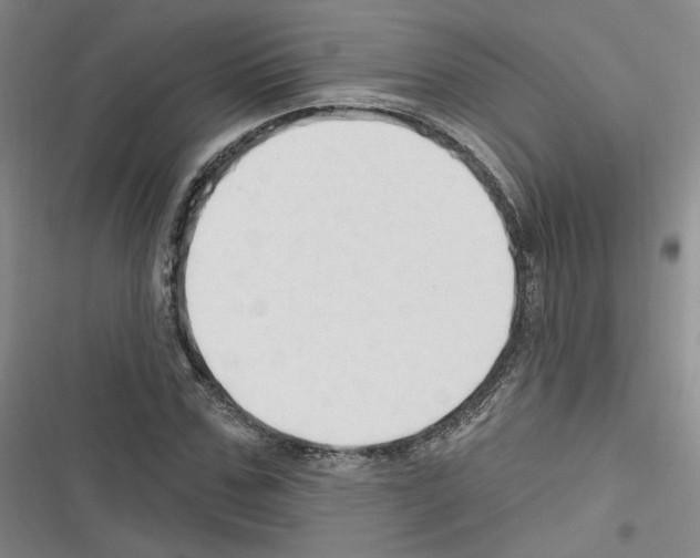 X0000116320971201001131000