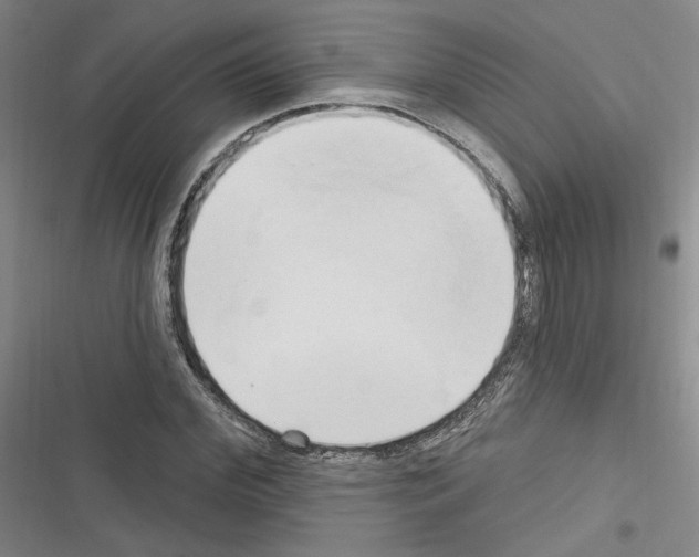 X0000116320972201001131000