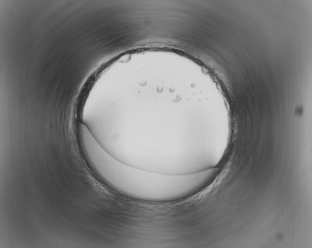 X0000116320973201001131000