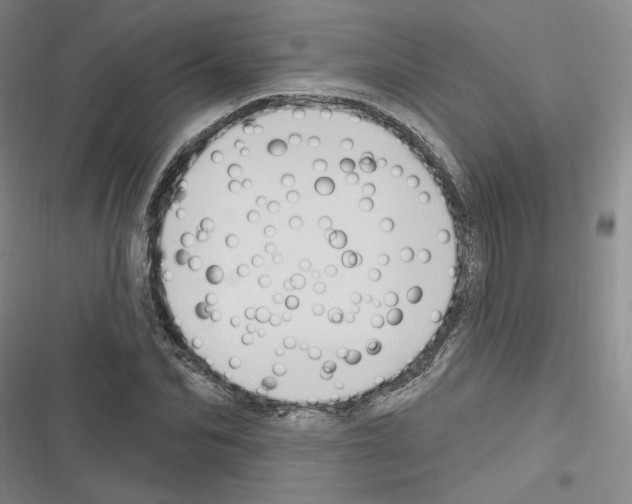 X0000116320974201001131000