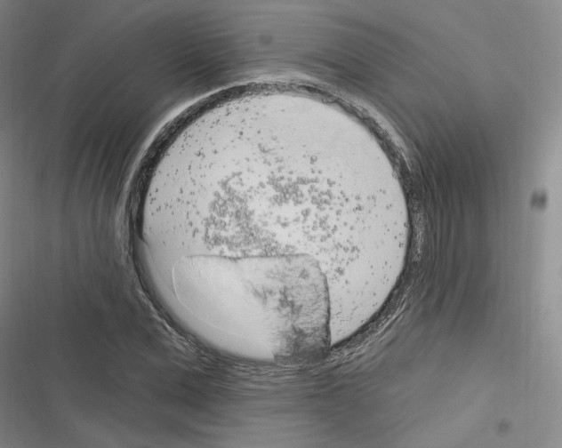 X0000116320975201001131000