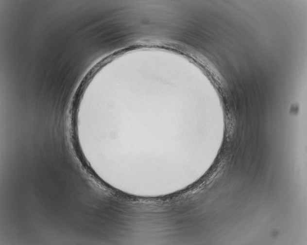 X0000116320976201001131000