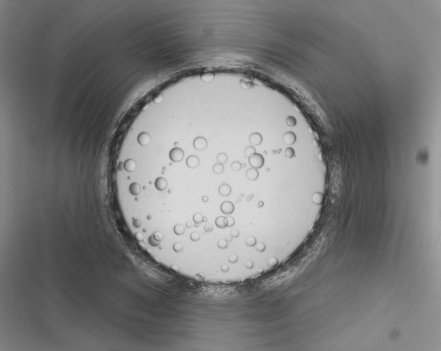 X0000116320978201001131000