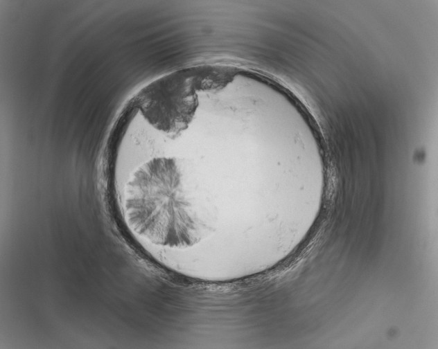 X0000116320979201001131000