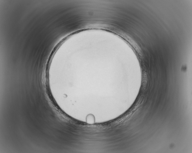 X0000116320980201001131000