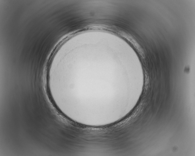 X0000116320984201001131000