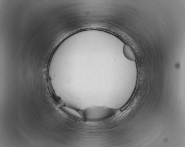 X0000116320985201001131000