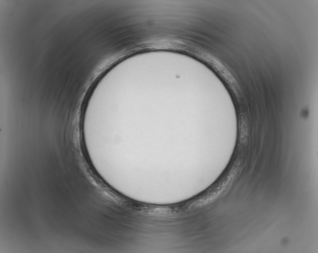 X0000116320986201001131000