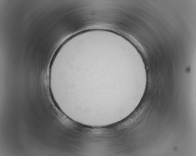 X0000116320988201001131000