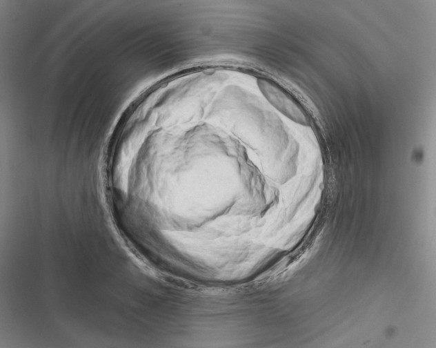 X0000116320989201001131000