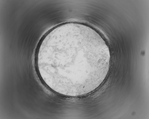 X0000116320991201001131000