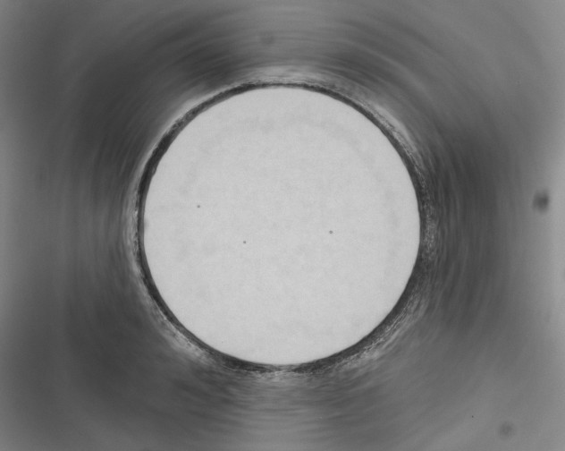 X0000116320992201001131000