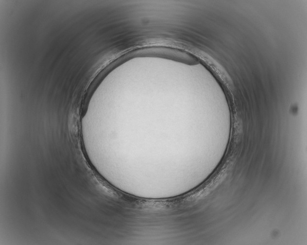 X0000116320993201001131000