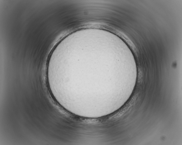 X0000116320994201001131000