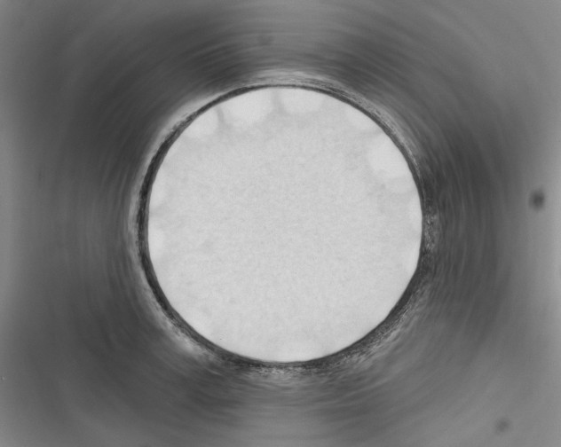 X0000116320995201001131000