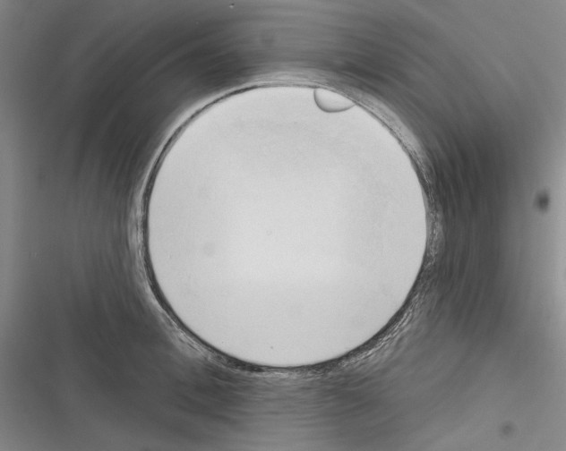 X0000116320996201001130959