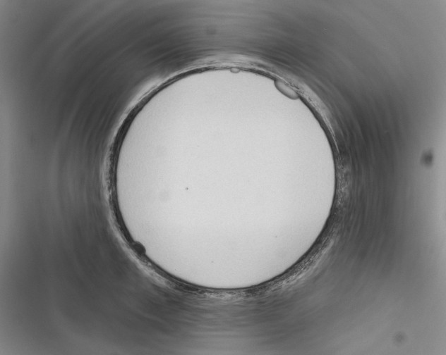 X0000116320997201001130959