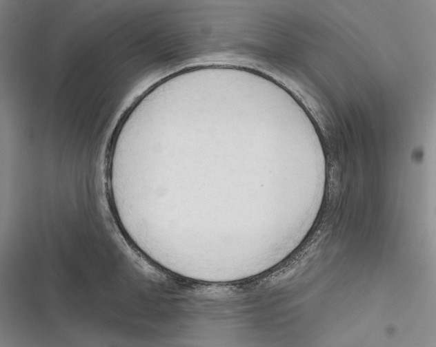 X0000116320998201001130959