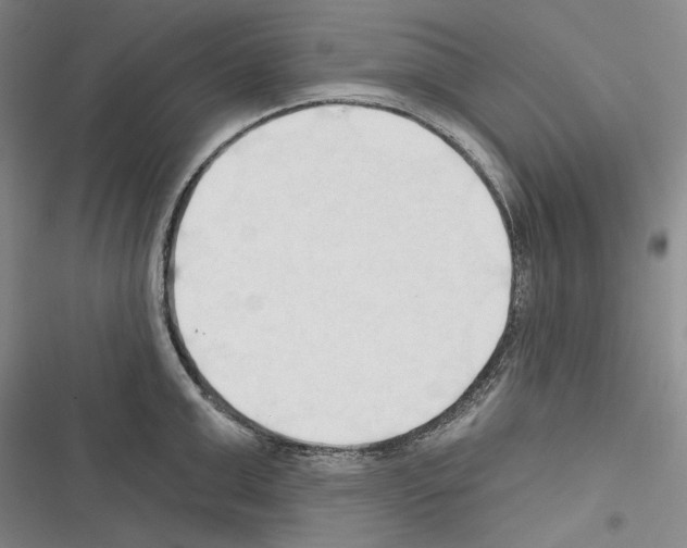 X0000116320999201001130959