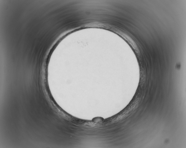 X0000116321000201001130959