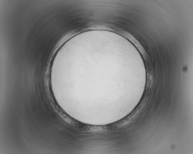 X0000116321002201001130959